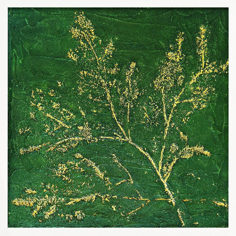 Deep In the Forest - Square Stretched Canvas, Poster or Fine Art Print I Heart Wall Art