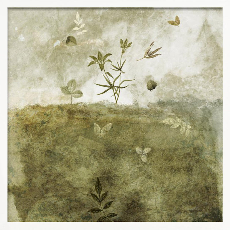 Olive - Square Stretched Canvas, Poster or Fine Art Print I Heart Wall Art