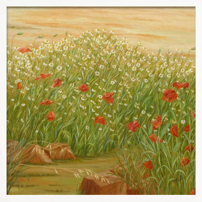 Daisies and  Poppies - Square Stretched Canvas, Poster or Fine Art Print I Heart Wall Art