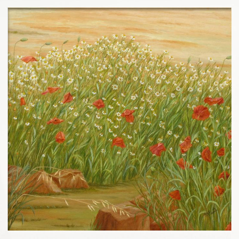 Daisies and  Poppies - Square Stretched Canvas, Poster or Fine Art Print I Heart Wall Art