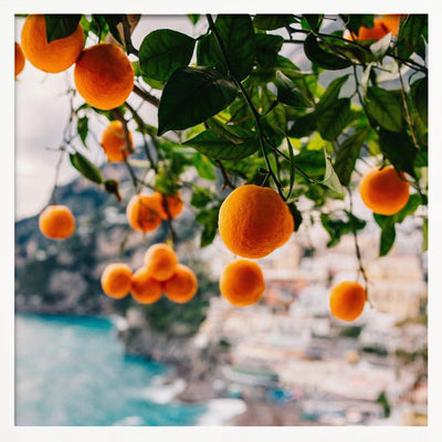 Amalfi Coast Oranges - Square Stretched Canvas, Poster or Fine Art Print I Heart Wall Art
