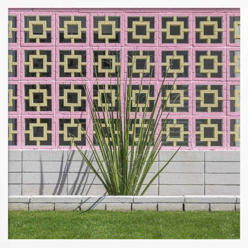 Mid-Century Breeze Block Wall with Cactus in Palm Springs, California - Square Stretched Canvas, Poster or Fine Art Print I Heart Wall Art