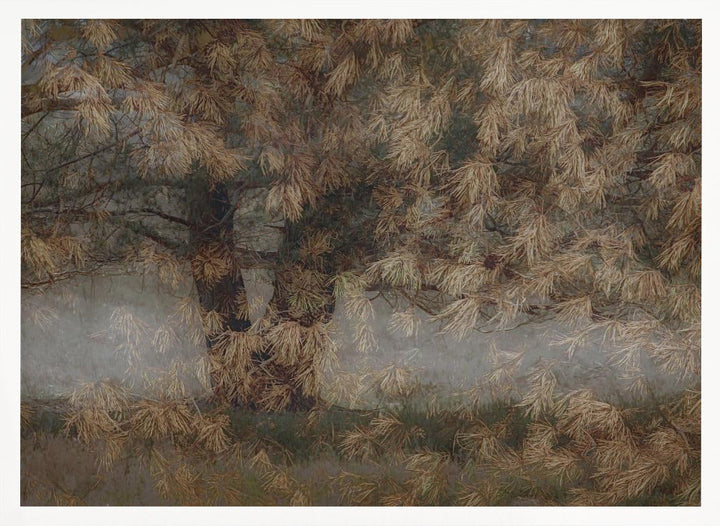 Pine tree - Stretched Canvas, Poster or Fine Art Print I Heart Wall Art