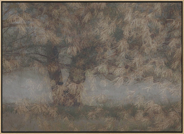 Pine tree - Stretched Canvas, Poster or Fine Art Print I Heart Wall Art