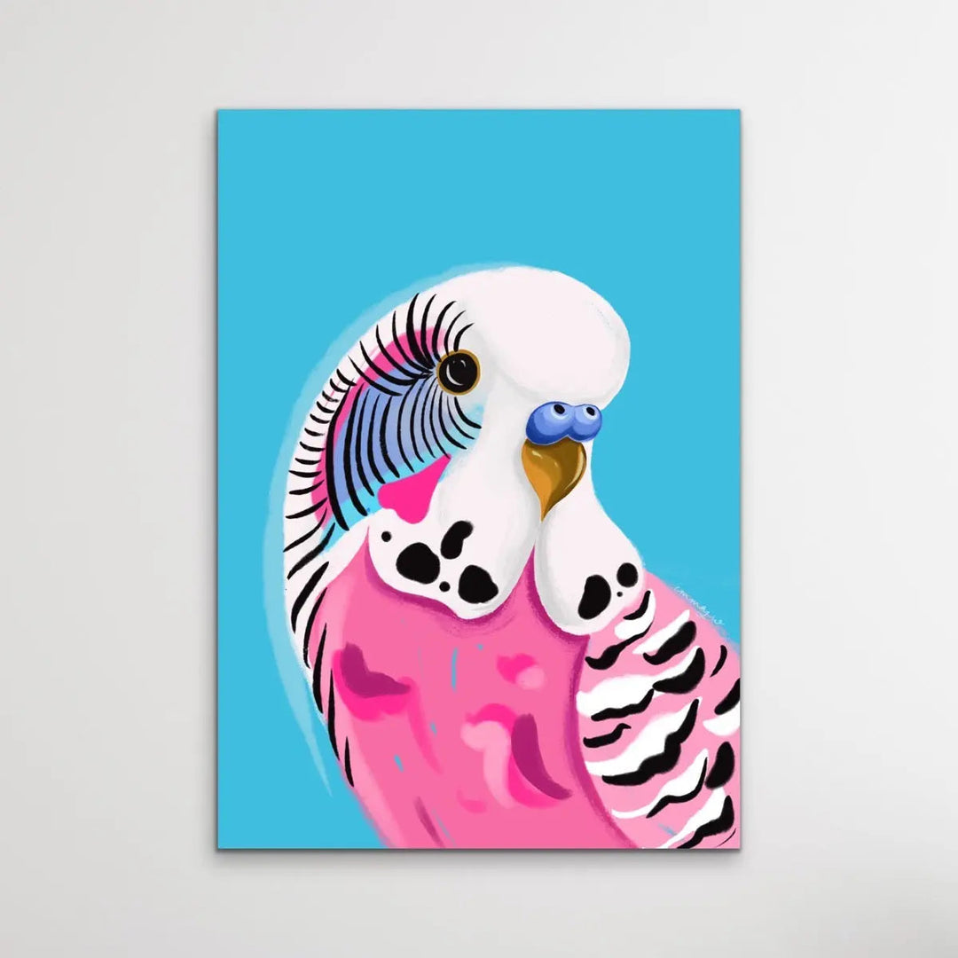 Pink Budgie By Emma Whitelaw - Pink and Blue Budgerigar Contemporary Artwork Canvas or Art Print I Heart Wall Art Australia 