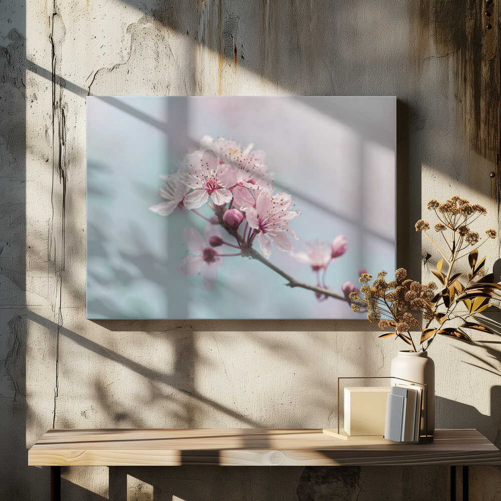 Pink Cherry Blossoms - Floral Photographic Stretched Canvas Poster or Fine Art Print