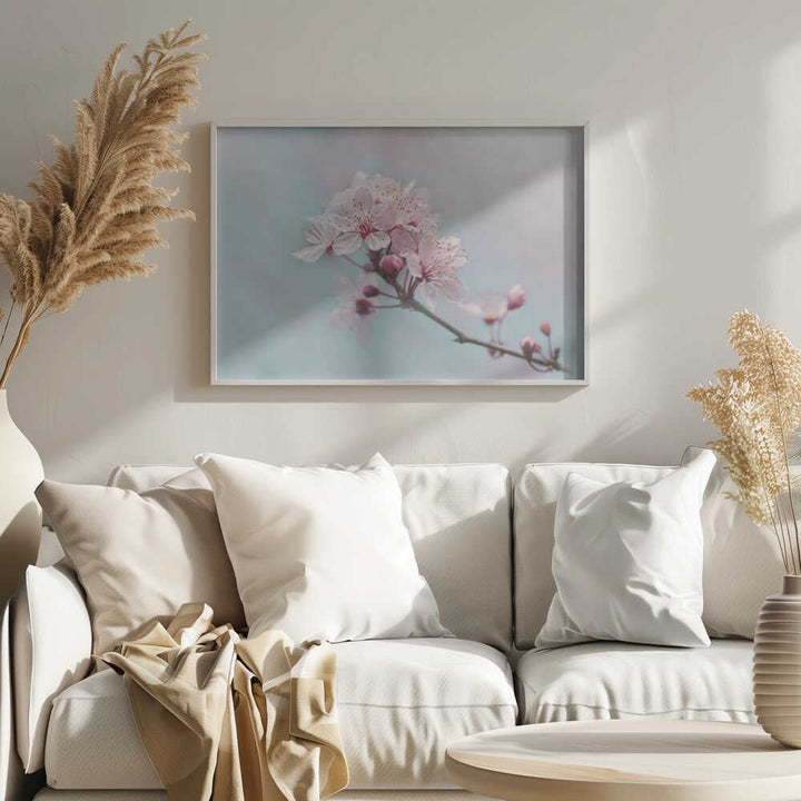 Pink Cherry Blossoms - Floral Photographic Stretched Canvas Poster or Fine Art Print