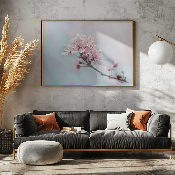 Pink Cherry Blossoms - Floral Photographic Stretched Canvas Poster or Fine Art Print