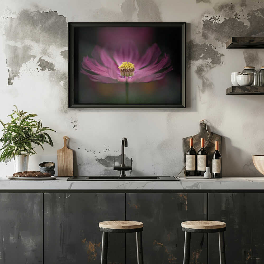 Pink Cosmos Bloom - Floral Photographic Stretched Canvas Poster or Fine Art Print