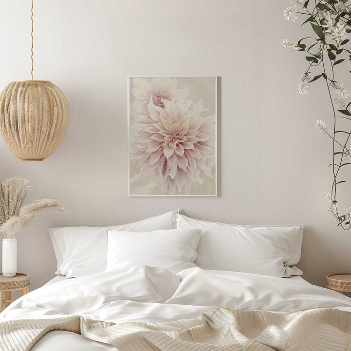Pink Dahlia Dream - Floral Photographic Stretched Canvas Poster or Fine Art Print