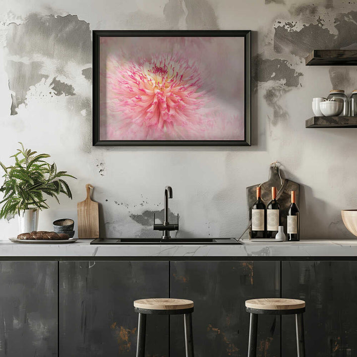Pink Dahlia Dream - Floral Photographic Stretched Canvas Poster or Fine Art Print