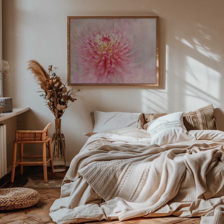 Pink Dahlia Dream - Floral Photographic Stretched Canvas Poster or Fine Art Print