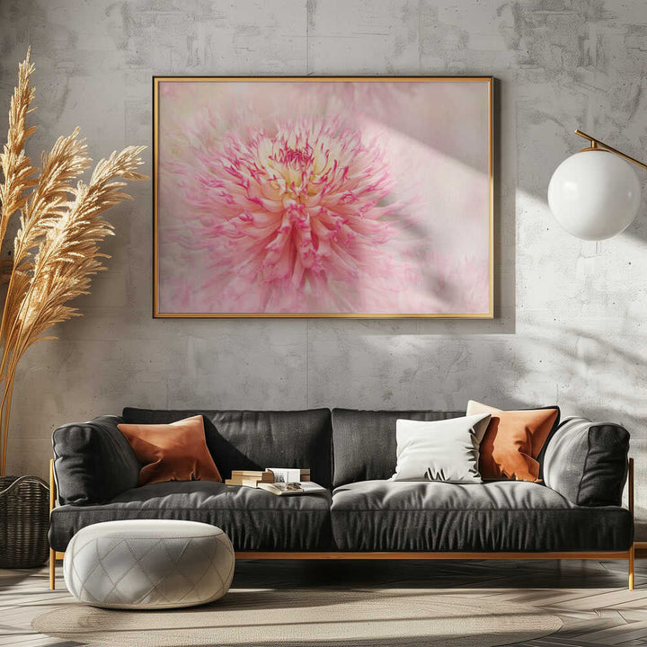 Pink Dahlia Dream - Floral Photographic Stretched Canvas Poster or Fine Art Print