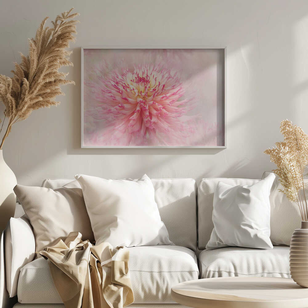 Pink Dahlia Dream - Floral Photographic Stretched Canvas Poster or Fine Art Print