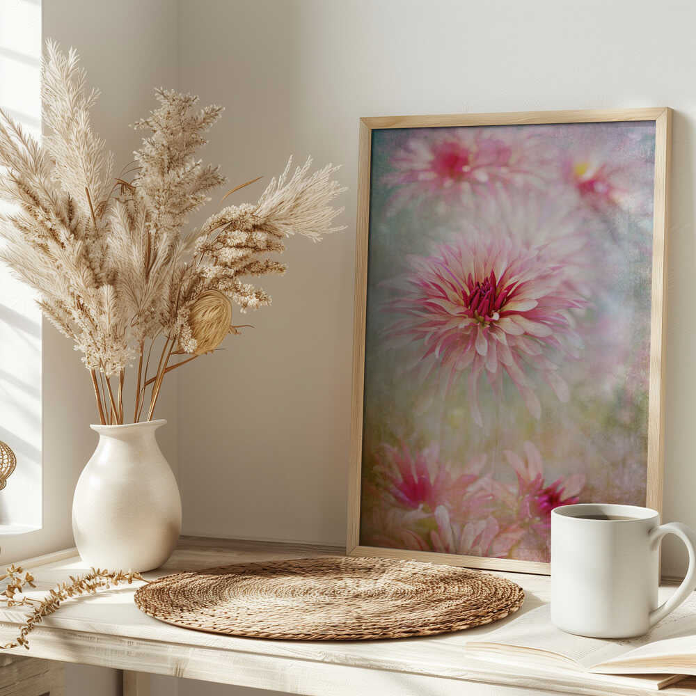Pink Dreamy Dahlias - Floral Photographic Stretched Canvas Poster or Fine Art Print