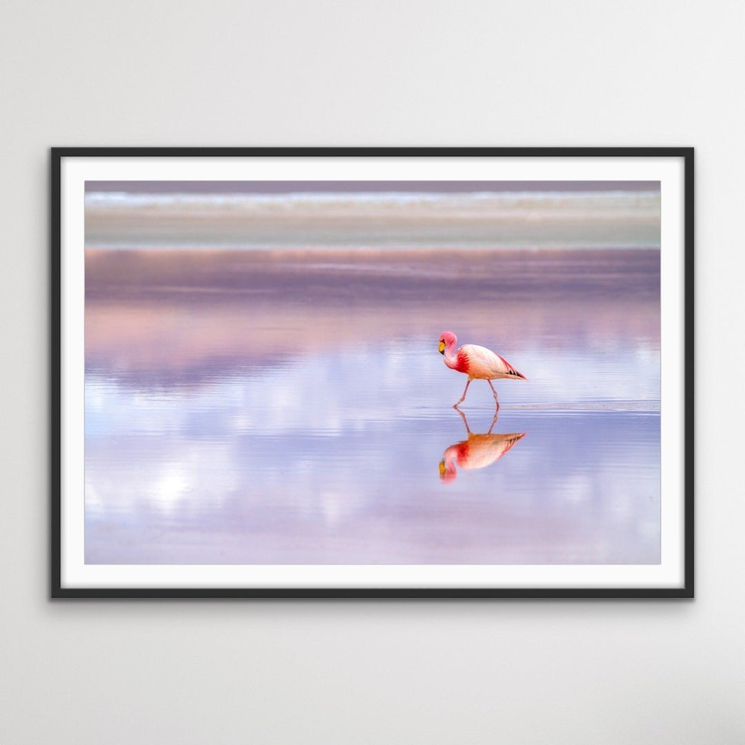 Pink Flamingo Beach -  Coastal Landscape Pink Flamingo Sunset Canvas or Art Print I Heart Wall Art Australia 