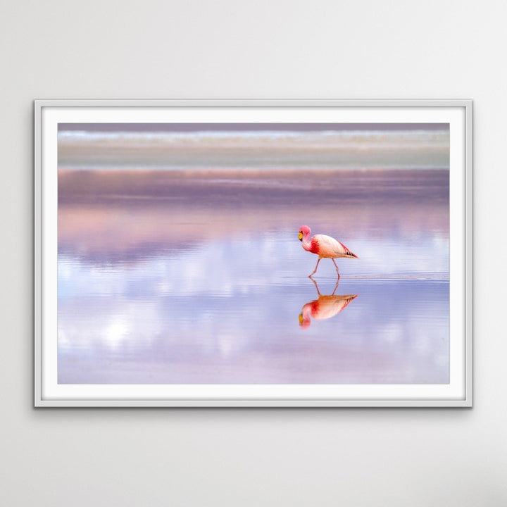 Pink Flamingo Beach -  Coastal Landscape Pink Flamingo Sunset Canvas or Art Print I Heart Wall Art Australia 