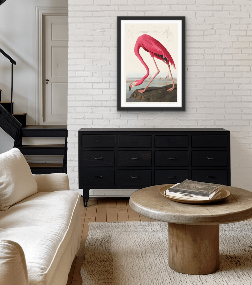 Pink Flamingo from Birds of America (1827) by John James Audubon - Stretched Canvas or Framed Fine Art Print - I Heart Wall Art - Poster Print, Canvas Print or Framed Art Print