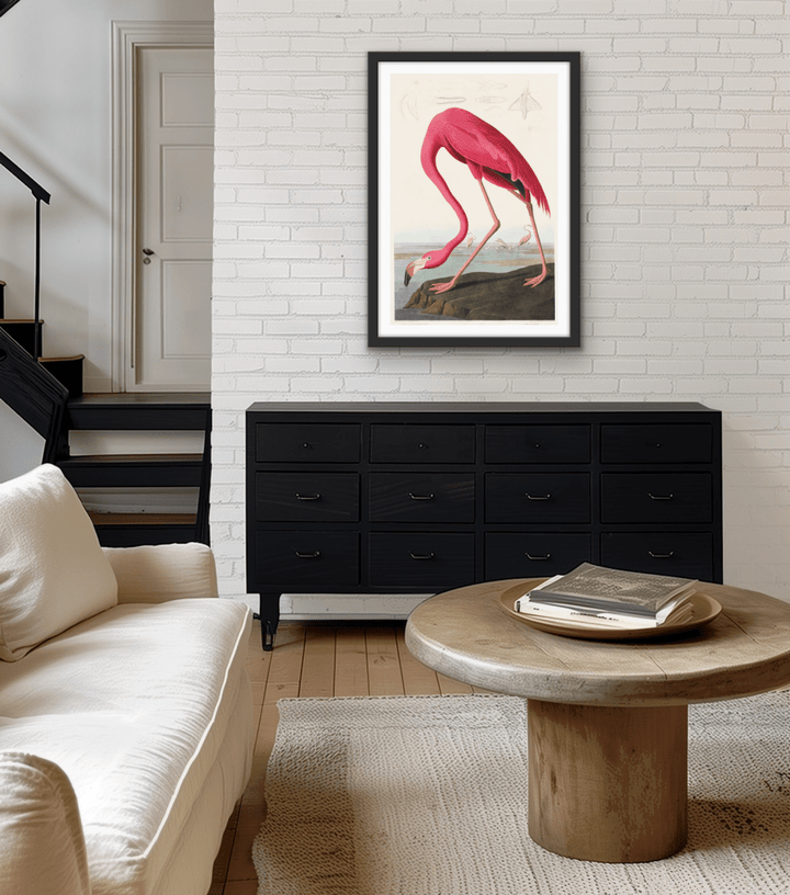 Pink Flamingo from Birds of America (1827) by John James Audubon - Stretched Canvas or Framed Fine Art Print - I Heart Wall Art - Poster Print, Canvas Print or Framed Art Print