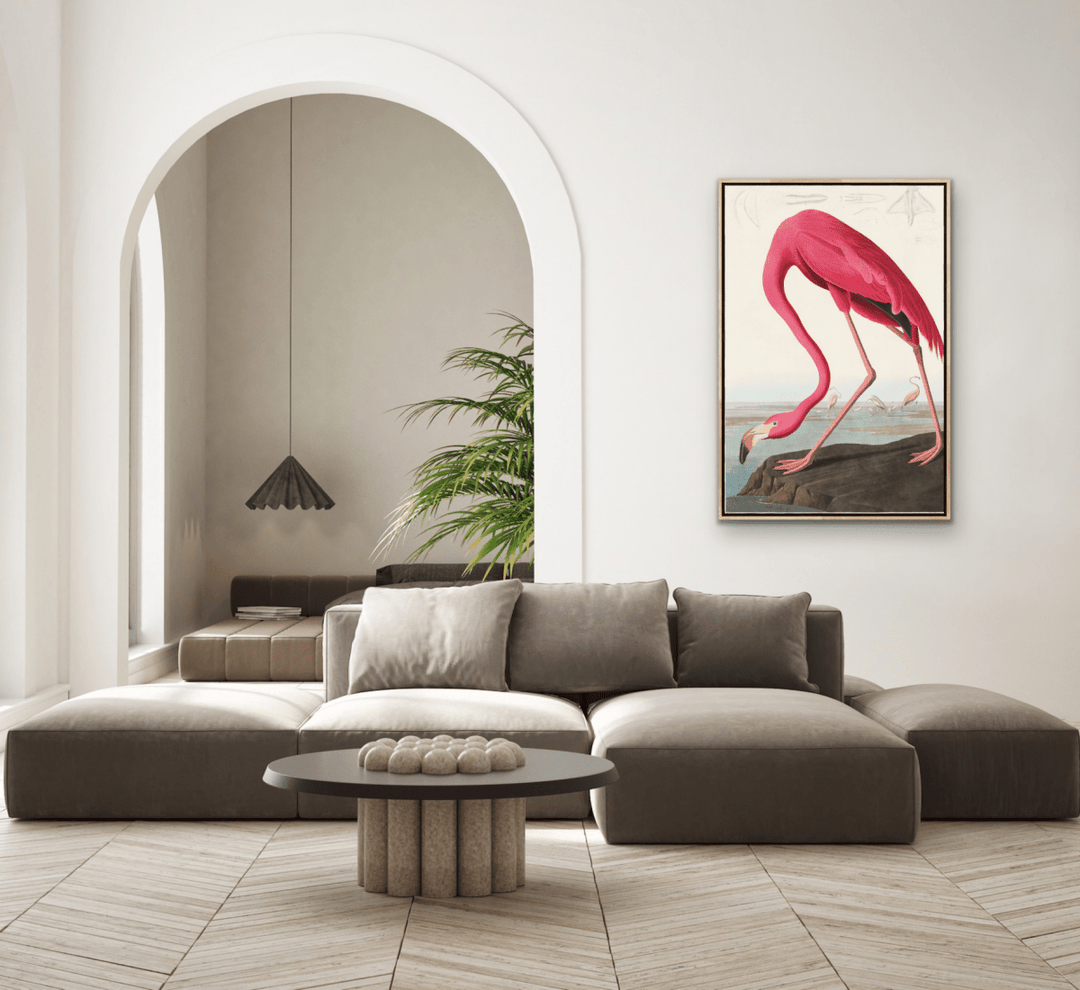 Pink Flamingo from Birds of America (1827) by John James Audubon - Stretched Canvas or Framed Fine Art Print - I Heart Wall Art - Poster Print, Canvas Print or Framed Art Print