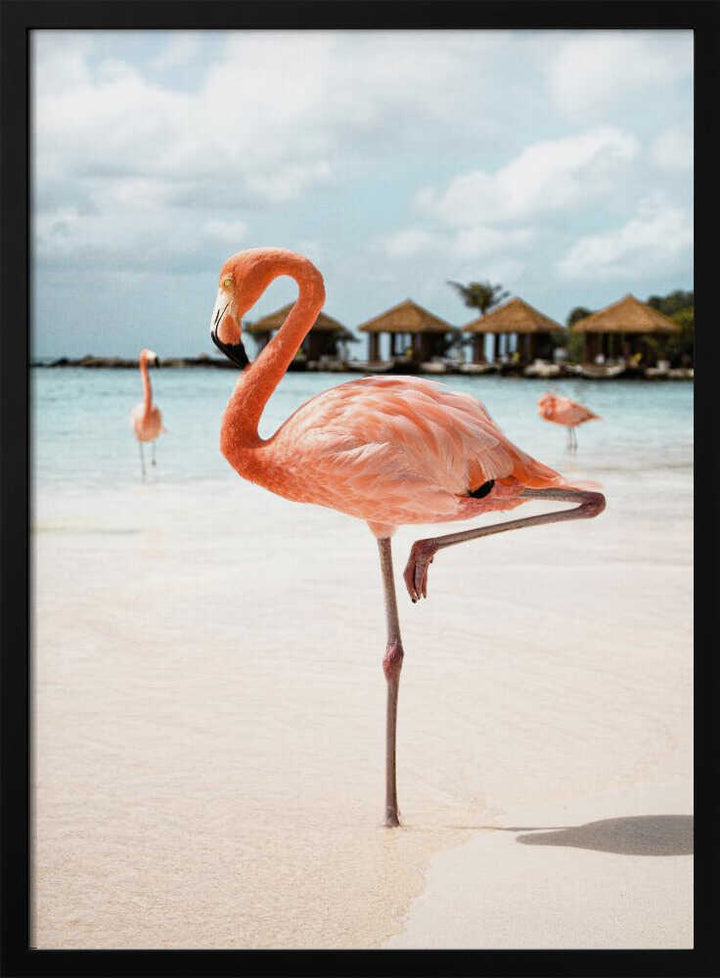 Pink Flamingo - Stretched Canvas, Poster or Fine Art Print - I Heart Wall Art - Poster Print, Canvas Print or Framed Art Print