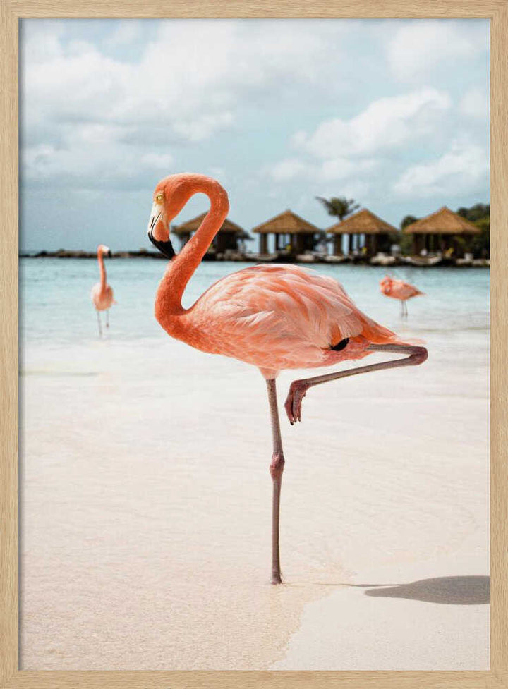 Pink Flamingo - Stretched Canvas, Poster or Fine Art Print - I Heart Wall Art - Poster Print, Canvas Print or Framed Art Print