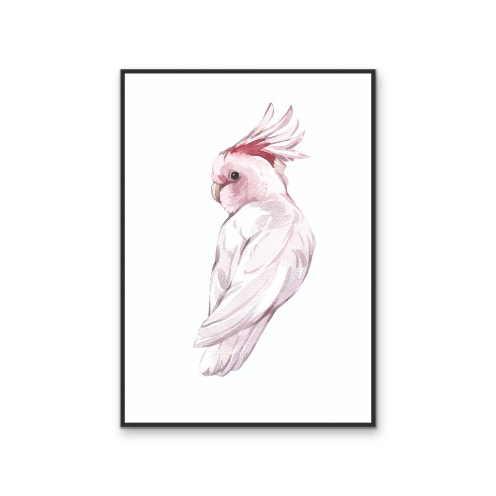 Pink Galah Nursery Sketch - Australian Native Animal Stretched Canvas or Wall Art Print - I Heart Wall Art - Poster Print, Canvas Print or Framed Art Print