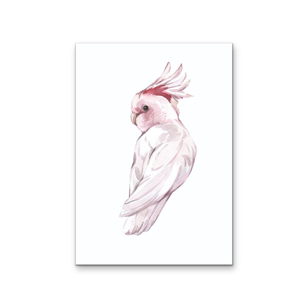 Pink Galah Nursery Sketch - Australian Native Animal Stretched Canvas or Wall Art Print - I Heart Wall Art - Poster Print, Canvas Print or Framed Art Print