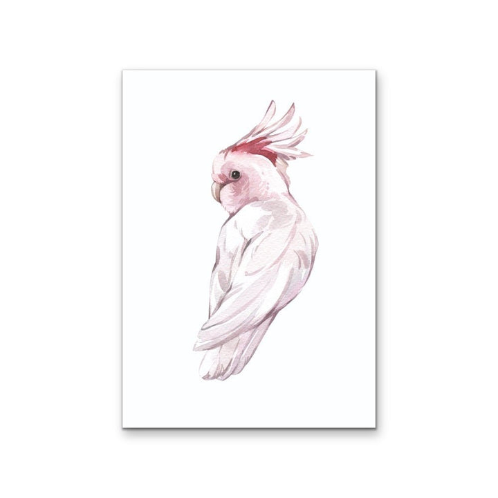 Pink Galah Nursery Sketch - Australian Native Animal Stretched Canvas or Wall Art Print - I Heart Wall Art - Poster Print, Canvas Print or Framed Art Print