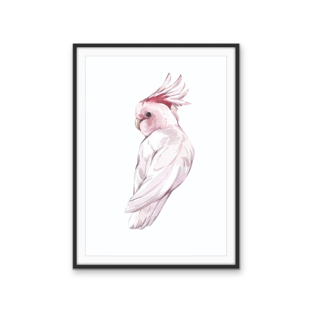Pink Galah Nursery Sketch - Australian Native Animal Stretched Canvas or Wall Art Print - I Heart Wall Art - Poster Print, Canvas Print or Framed Art Print