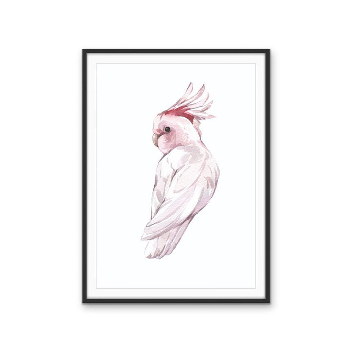 Pink Galah Nursery Sketch - Australian Native Animal Stretched Canvas or Wall Art Print - I Heart Wall Art - Poster Print, Canvas Print or Framed Art Print