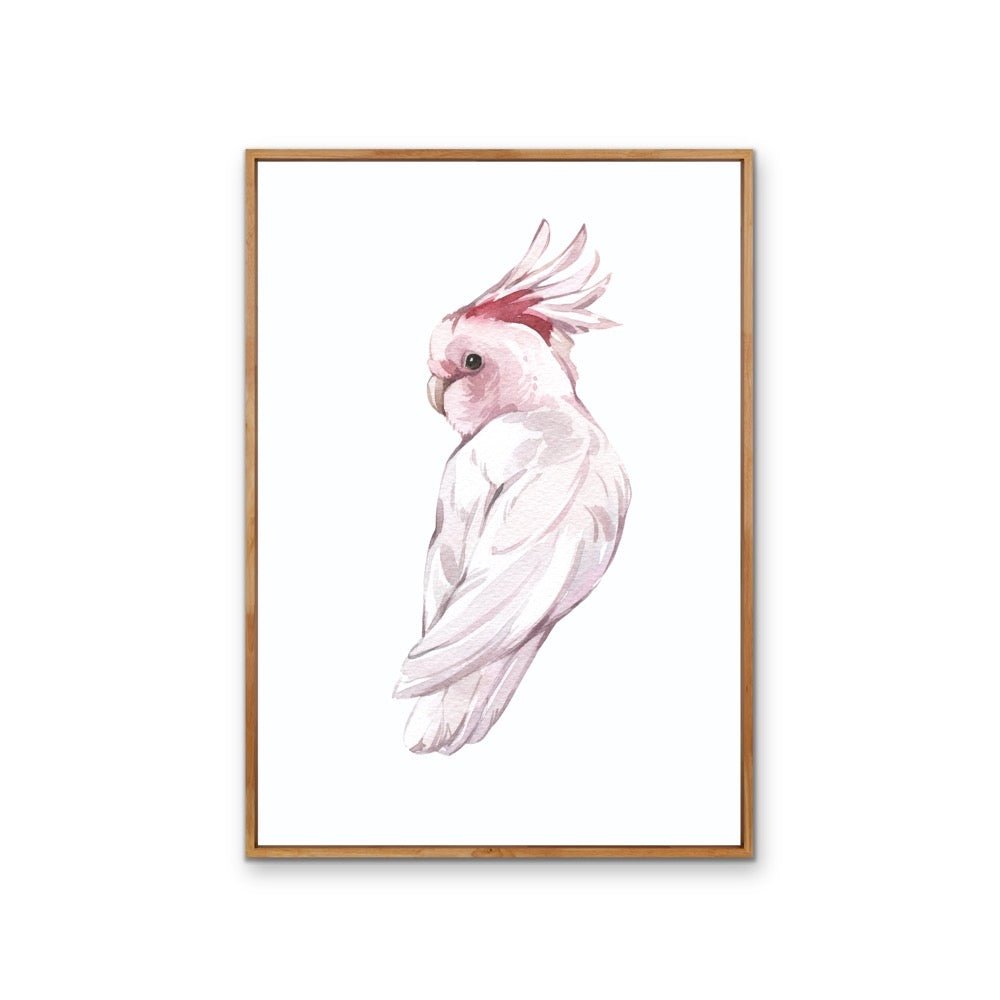 Pink Galah Nursery Sketch - Australian Native Animal Stretched Canvas or Wall Art Print - I Heart Wall Art - Poster Print, Canvas Print or Framed Art Print