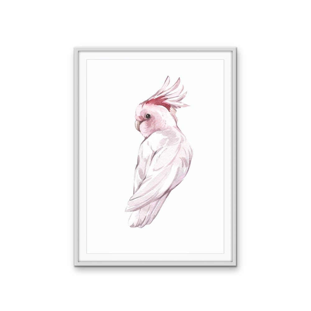 Pink Galah Nursery Sketch - Australian Native Animal Stretched Canvas or Wall Art Print - I Heart Wall Art - Poster Print, Canvas Print or Framed Art Print