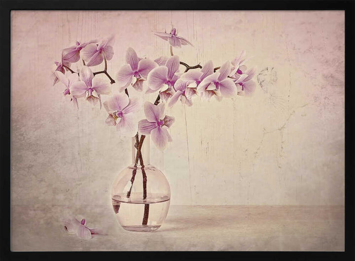 Pink Orchid Serenity - Floral Photographic Stretched Canvas Poster or Fine Art Print