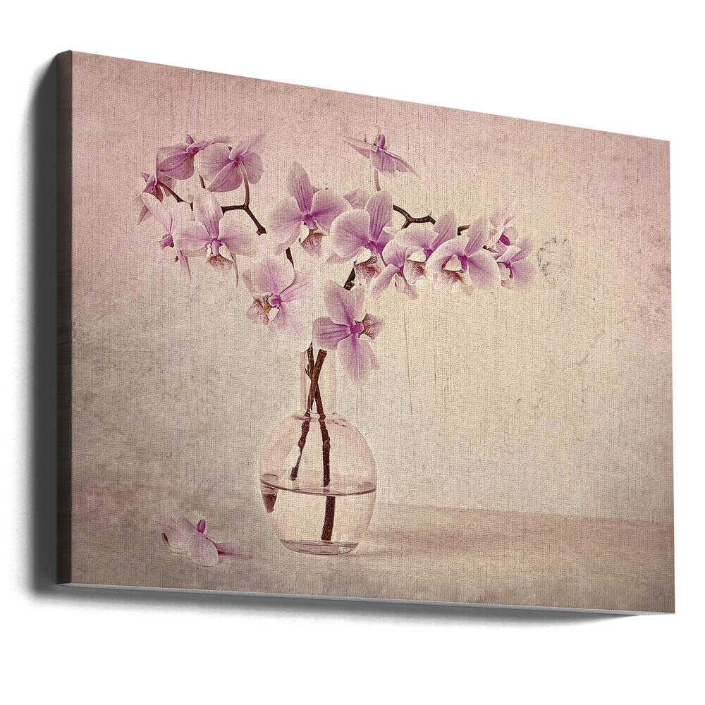Pink Orchid Serenity - Floral Photographic Stretched Canvas Poster or Fine Art Print