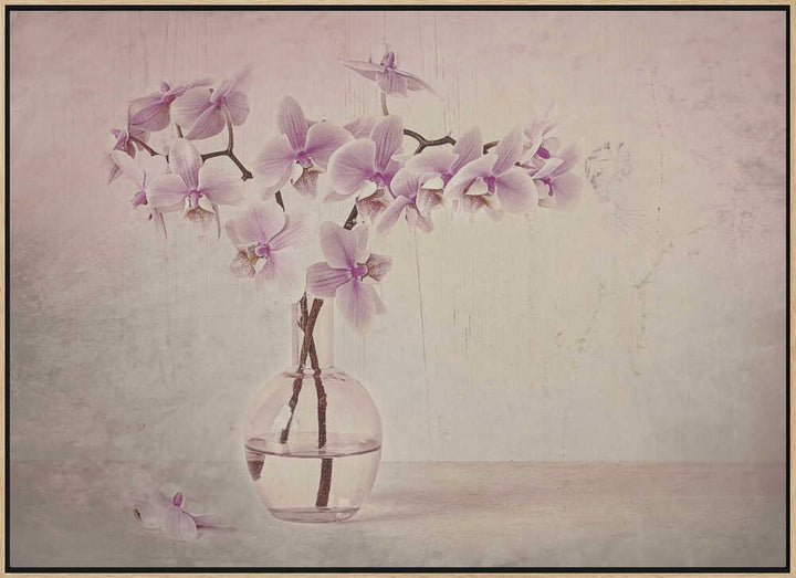 Pink Orchid Serenity - Floral Photographic Stretched Canvas Poster or Fine Art Print