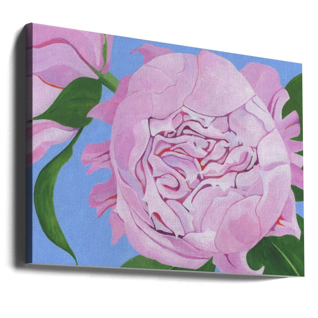 Pink Peony - Stretched Canvas, Poster or Fine Art Print - I Heart Wall Art - Poster Print, Canvas Print or Framed Art Print
