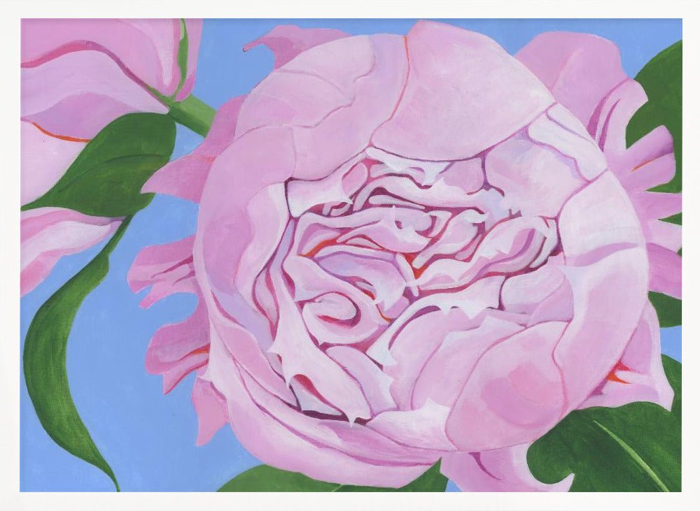 Pink Peony - Stretched Canvas, Poster or Fine Art Print - I Heart Wall Art - Poster Print, Canvas Print or Framed Art Print