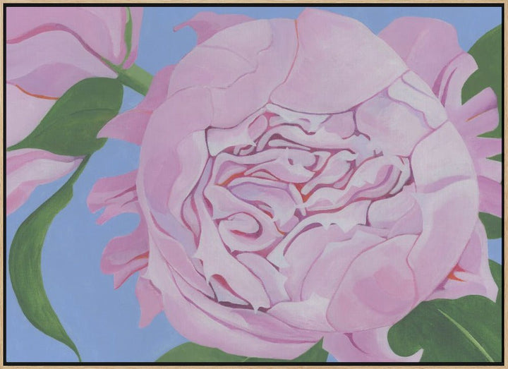 Pink Peony - Stretched Canvas, Poster or Fine Art Print - I Heart Wall Art - Poster Print, Canvas Print or Framed Art Print