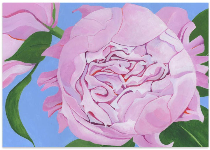 Pink Peony - Stretched Canvas, Poster or Fine Art Print - I Heart Wall Art - Poster Print, Canvas Print or Framed Art Print