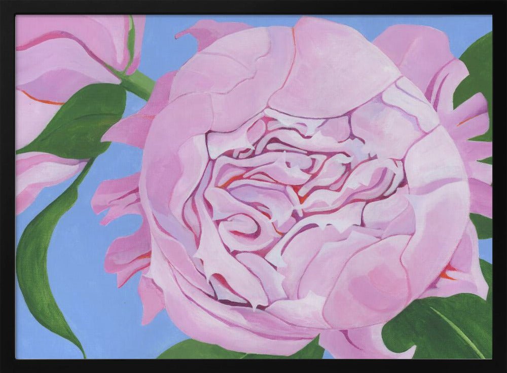 Pink Peony - Stretched Canvas, Poster or Fine Art Print - I Heart Wall Art - Poster Print, Canvas Print or Framed Art Print
