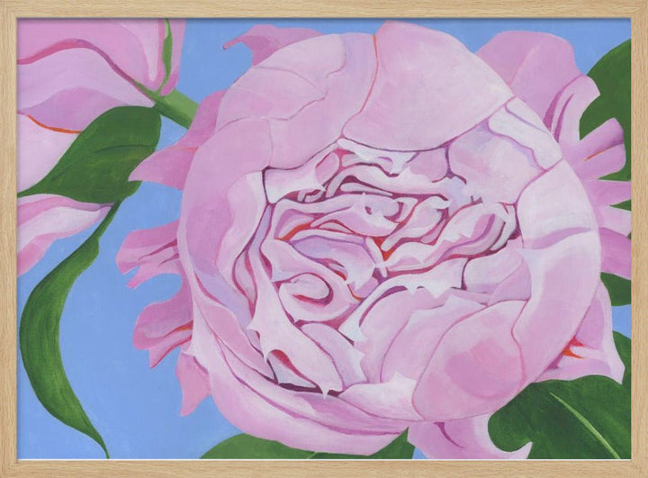 Pink Peony - Stretched Canvas, Poster or Fine Art Print - I Heart Wall Art - Poster Print, Canvas Print or Framed Art Print