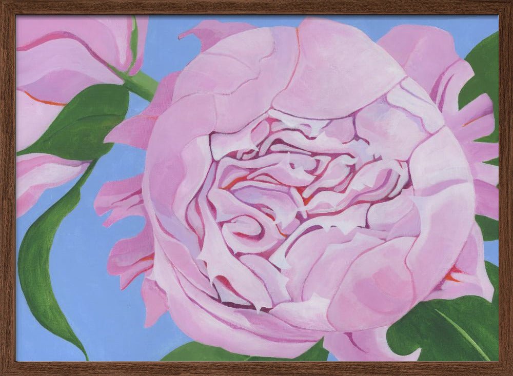 Pink Peony - Stretched Canvas, Poster or Fine Art Print - I Heart Wall Art - Poster Print, Canvas Print or Framed Art Print