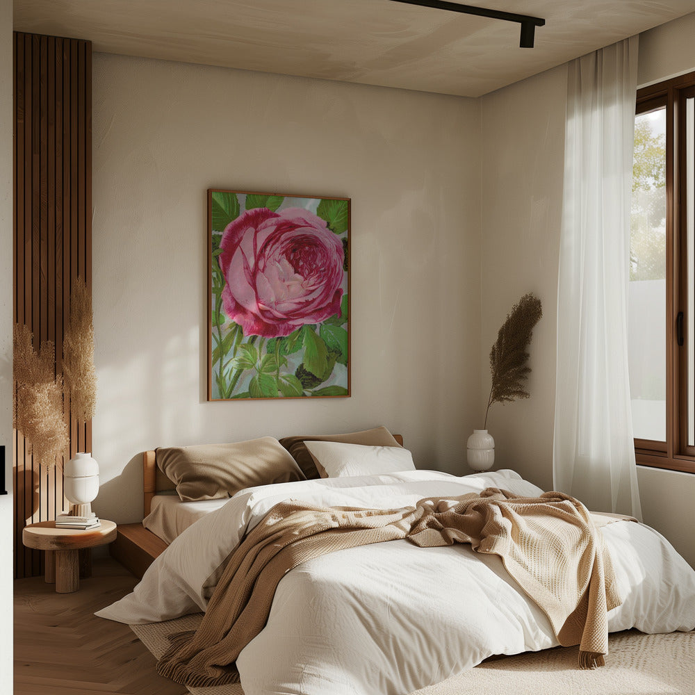Pink Rose, Mrs John Laing Lithograph - Stretched Canvas, Poster or Fine Art Print I Heart Wall Art