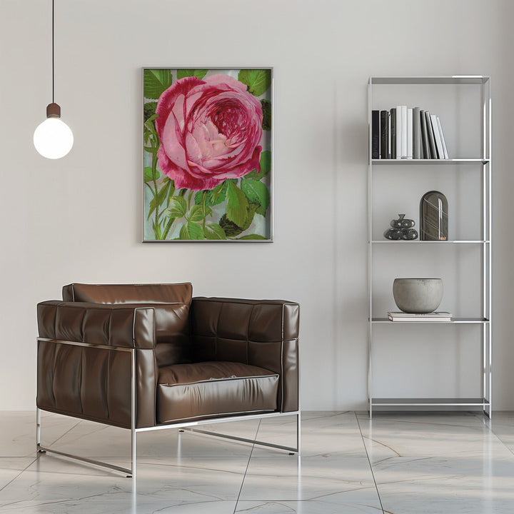 Pink Rose, Mrs John Laing Lithograph - Stretched Canvas, Poster or Fine Art Print I Heart Wall Art