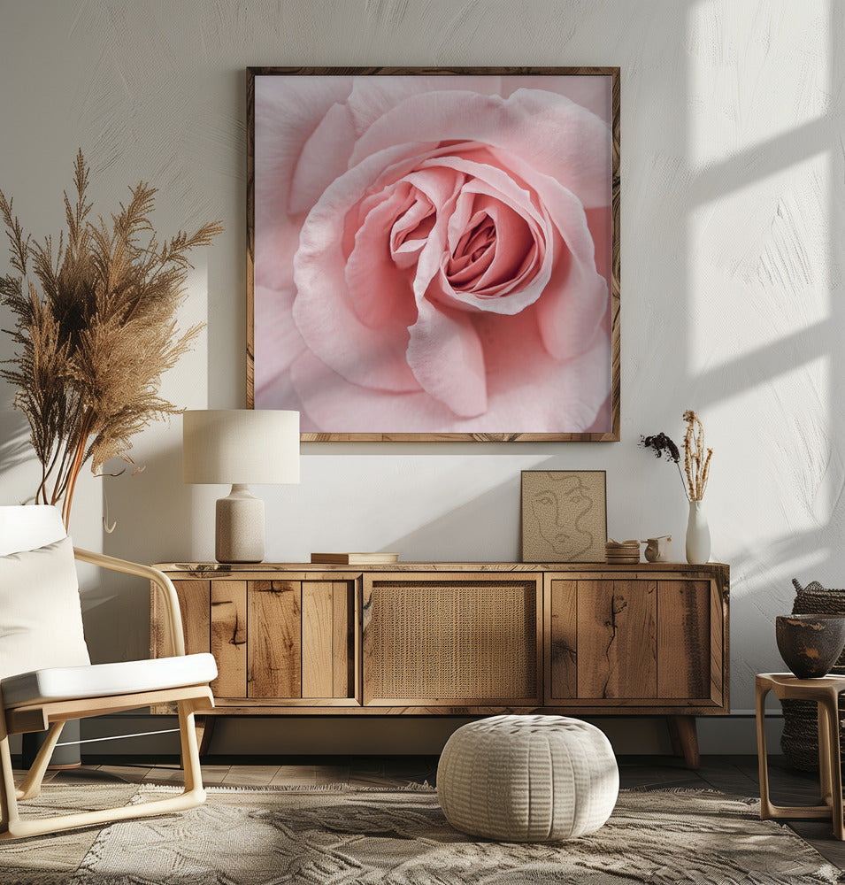 Pink Rose - Square Stretched Canvas, Poster or Fine Art Print I Heart Wall Art