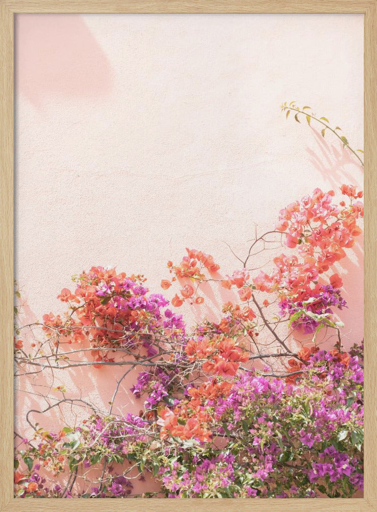 Pink Summer - Stretched Canvas, Poster or Fine Art Print I Heart Wall Art