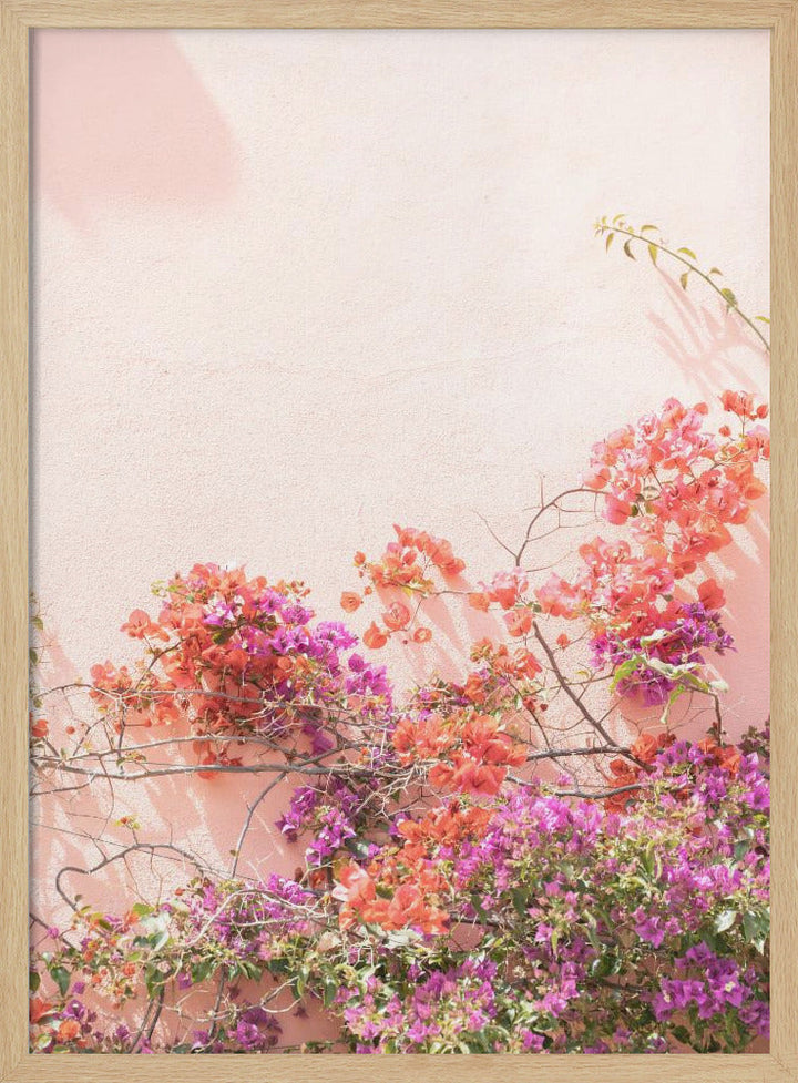 Pink Summer - Stretched Canvas, Poster or Fine Art Print I Heart Wall Art