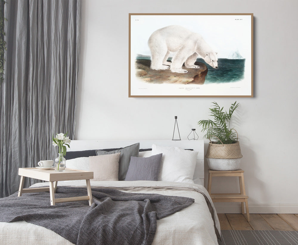 Polar Bears by John Woodhouse Audubon - American Natural History Stretched Canvas or Art Print