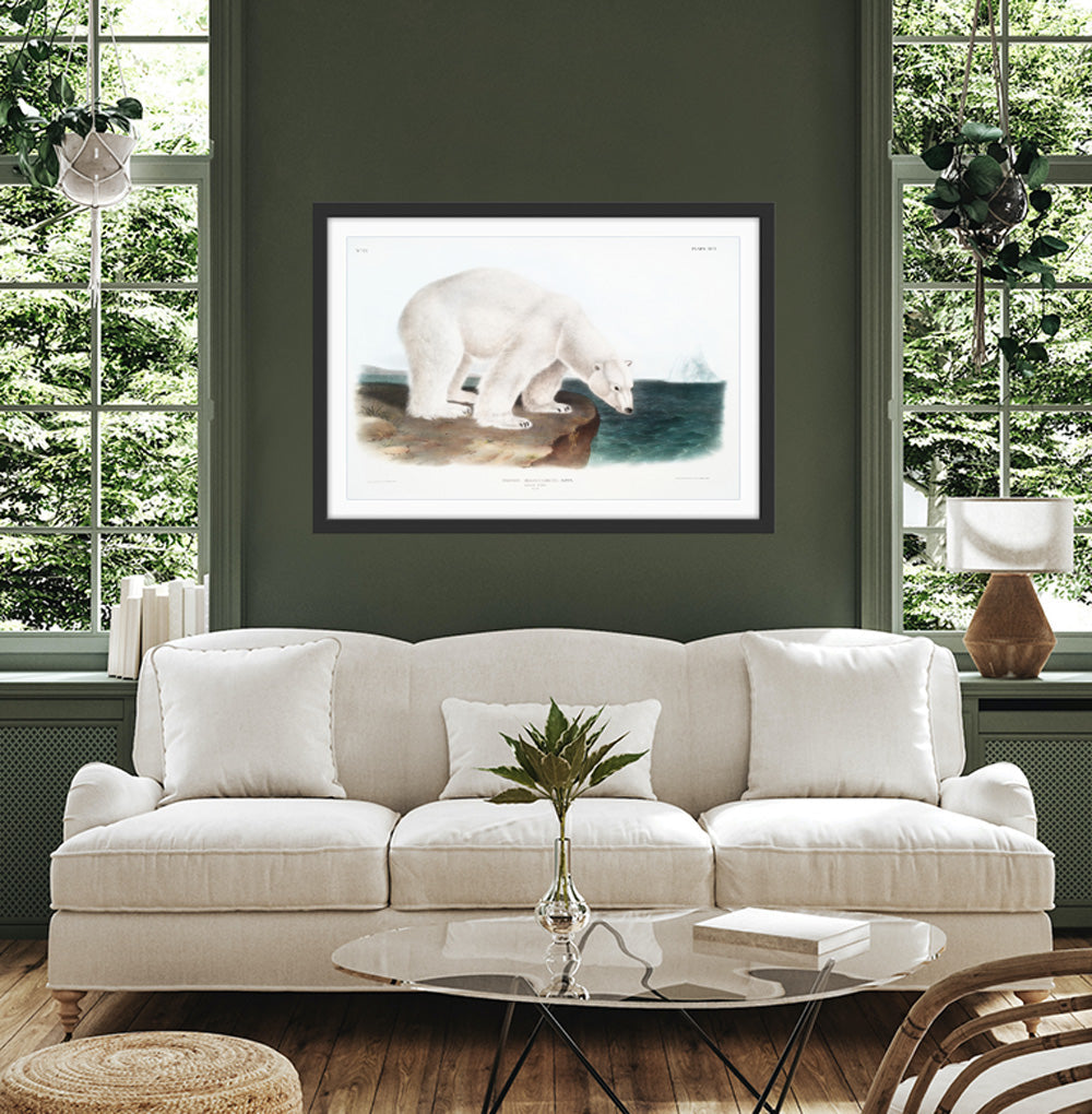 Polar Bears by John Woodhouse Audubon - American Natural History Stretched Canvas or Art Print
